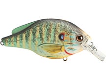 LIVETARGET Pumpkinseed Squarebill Crankbait 60S