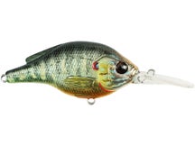 LIVETARGET Pumpkinseed Crankbait