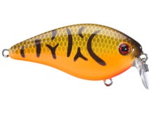 Strike King KVD HC Shallow Squarebill 1.5 Crankbait