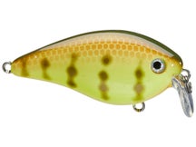 Strike King KVD HC Shallow Squarebill 1.5 Crankbait