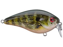 Strike King KVD HC Shallow Squarebill 1.5 Crankbait