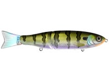 Lunkerhunt Apex Glidr Swimbait