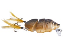 Lunkerhunt Battle Beetle Crankbait