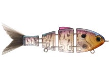 Bucca Brand Lil' Baby Bull Shad Swimbait 2.5" 