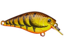 Lucky Craft LC 0.5 All Chart Black Craw 