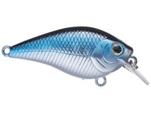Lucky Craft LC 0.5 Aurora Black