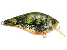 Lucky Craft LC 1.5 Silent Squarebill Crankbait
