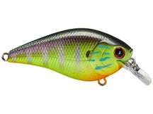 Lucky Craft LC 1.5 Silent Squarebill Crankbait