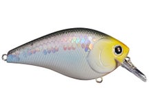Lucky Craft LC 1.5 Silent Squarebill Crankbait