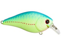 Lucky Craft LC 1.5 Silent Squarebill Crankbait