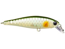 Lucky Craft Pointer 48 Jerkbait