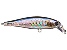 Lucky Craft Pointer 48 Jerkbait