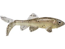 Little Creeper All American Trash Fish Swimbaits 2pk