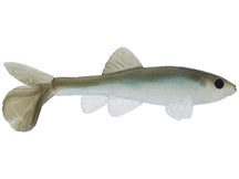 Little Creeper All American Trash Fish Swimbaits 2pk