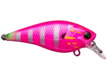 Lucky Craft Fat BDS Magic 1.2 Squarebill Crankbaits