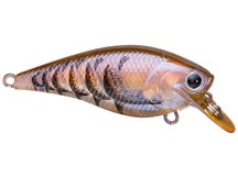 Lucky Craft Fat BDS Magic 1.2 Squarebill Crankbaits