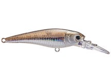 Lucky Craft Bevy Shad 60SP Crankbaits 