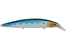 Lucky Craft CIF Surf Pointer 115MR Jerkbaits