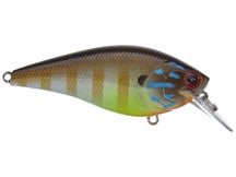 Lucky Craft Fat BDS-3 Cowboy Gill 