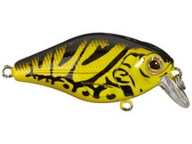 Livingston Lures Chumly Squarebill Tournament Series