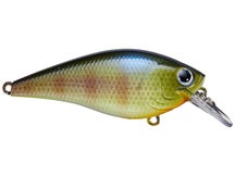 Lucky Craft BDS Magic BE Gill 2.2