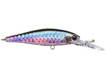 Lucky Craft Pointer 48 DD MS MJ Herring