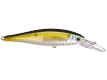 Lucky Craft Pointer 78DD Silver Cheek Clearwater Shad 