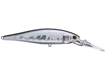 Lucky Craft CIF SW Pointer 100DDS Jerkbaits