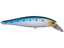 Lucky Craft CIF SW Pointer 100S Jerkbaits