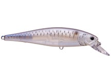 Lucky Pointer 100 Live Striped Shad 