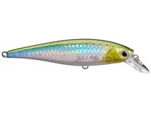 Lucky Pointer 78 MS Japan Shad
