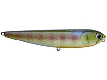 Lucky Craft Sammy 115 Walking Bait 