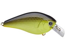 Lucky Craft LC 2.5 Silent Squarebill Crankbait