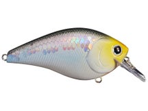 Lucky Craft LC 2.5 Silent Squarebill Crankbait