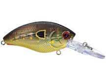 Livingston Howeller DMC TN Money Gill