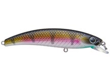 Lunkerhunt Impact Jerkbait Blue Cheek 3.5"