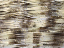 Skirts Unlimited Living Image Skirts 10pk