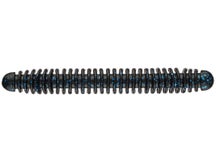 Lake Fork Ring Fry Worm