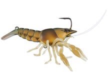 LIVETARGET Live Craw Orange Pumpkin 3"