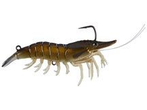 LIVETARGET Live Shrimp