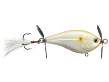 Livingston Spin Master Tournament