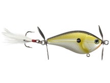 Livingston Spin Master Tournament