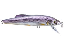 LIVETARGET Minnow Jerkbait 2.5"