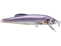 LIVETARGET Minnow Jerkbait 3"