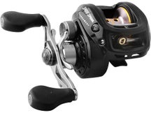 LIVETARGET ICT Unrigged Sunfish Swimbait