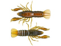 LIVETARGET Unrigged Craw Green Brown 3.8"
