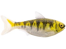 LIVETARGET ICT Unrigged Shad Swimbait