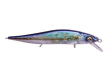 Megabass Ito Vision 110 Jr. GS Moroko
