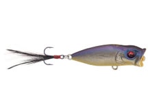 Megabass Baby Pop X BFS Popper
