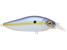Megabass Flap Slap Crankbaits